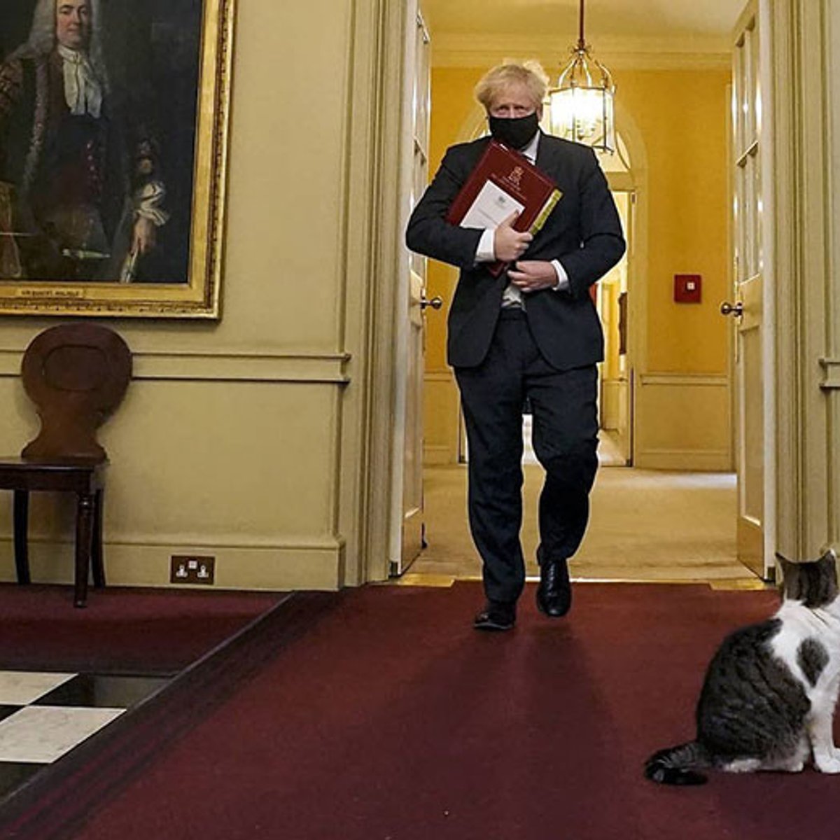 職務に励む、イギリスの犬猫たちに癒されて。