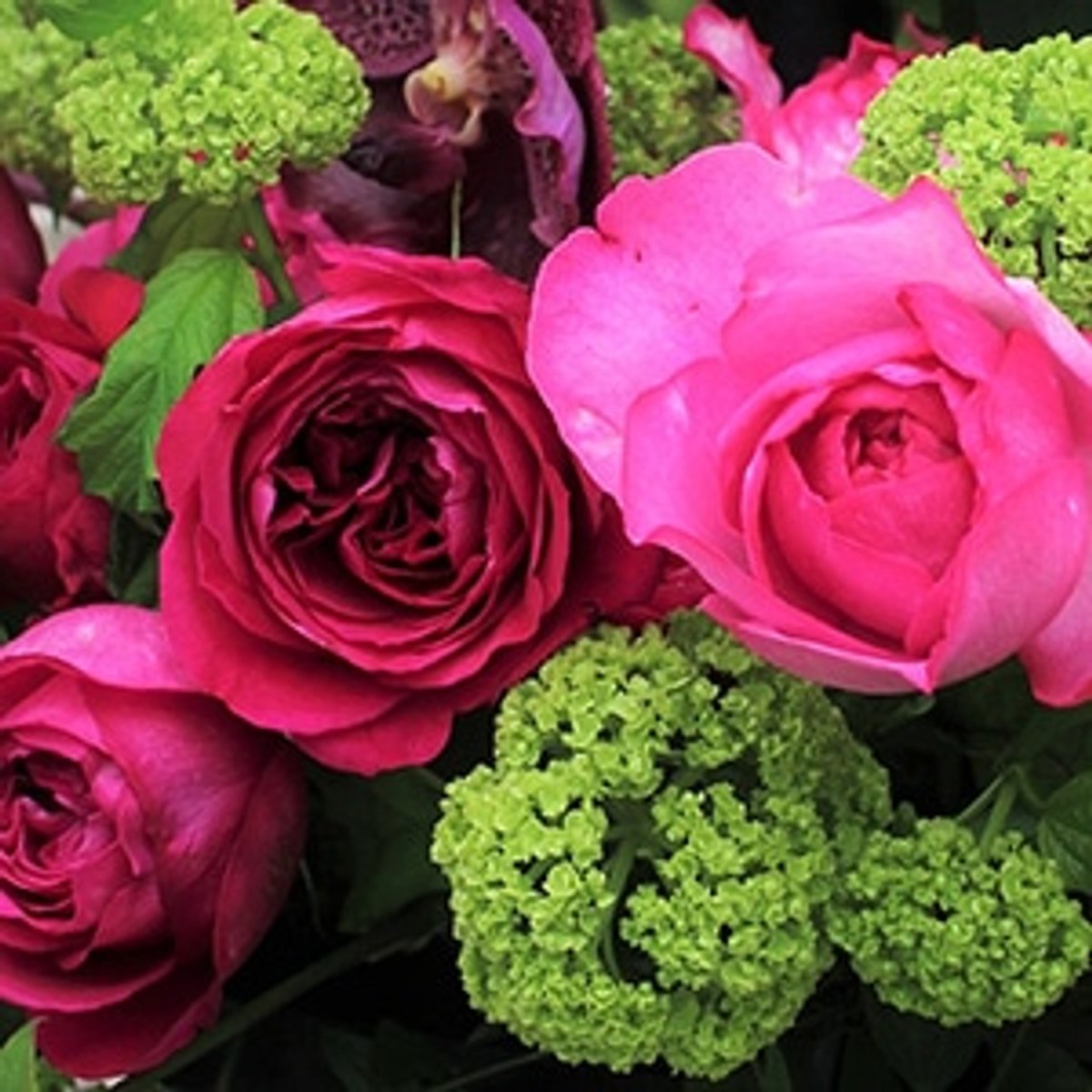 番外編】”Week-end avec une Rose” バラと過ごす素敵な週末テーブル 
