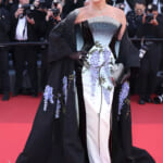 カンヌ国際映画祭での、シャロン・ストーン