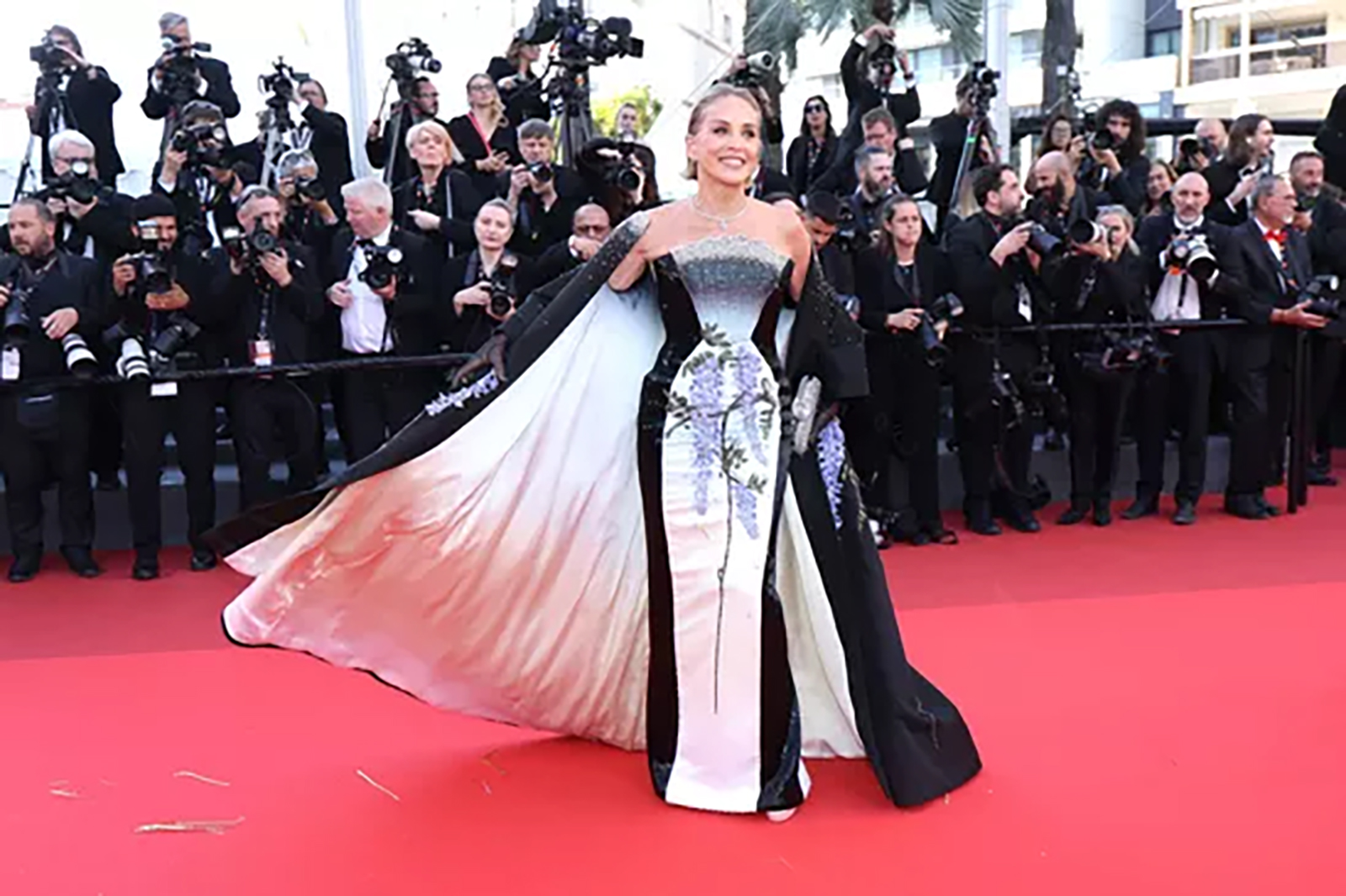 カンヌ国際映画祭での、シャロン・ストーン
