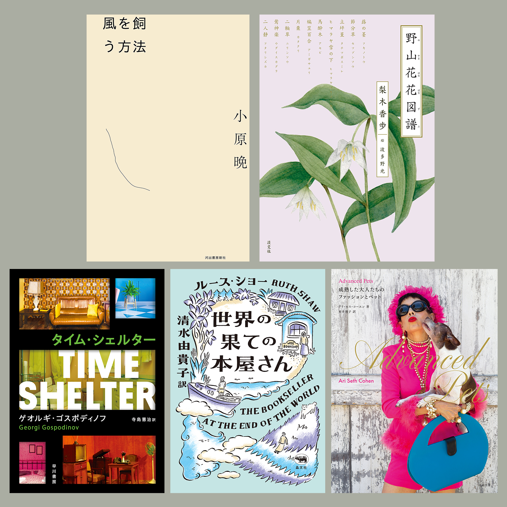 小説からペットとの写真集まで。雨の日も満たされる、とっておきの5冊。
