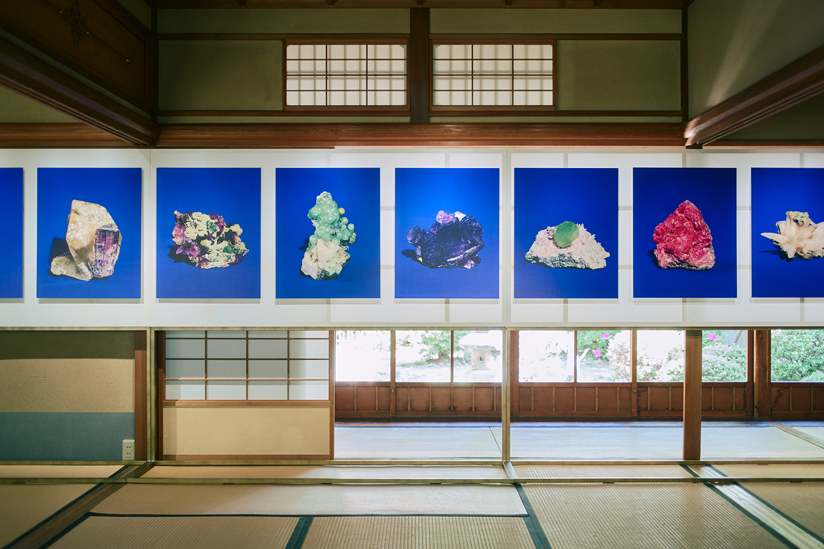 『Susceptibility of Rocks　石の感受性』（2025）
フランスの作家・哲学者のロジェ・カイヨワの思想とその鉱物コレクションに共鳴し、鉱物の持つ固有の表情をポートレートのように捉えたシリーズ。ソルボンヌ大学で20点の石を選び、4×5インチの大型カメラで半日かけて撮影。一見意外に思えるビビッドなブルーの背景が石の持つアイデンティティを際立たせている。肖像画が並ぶように展示された。
