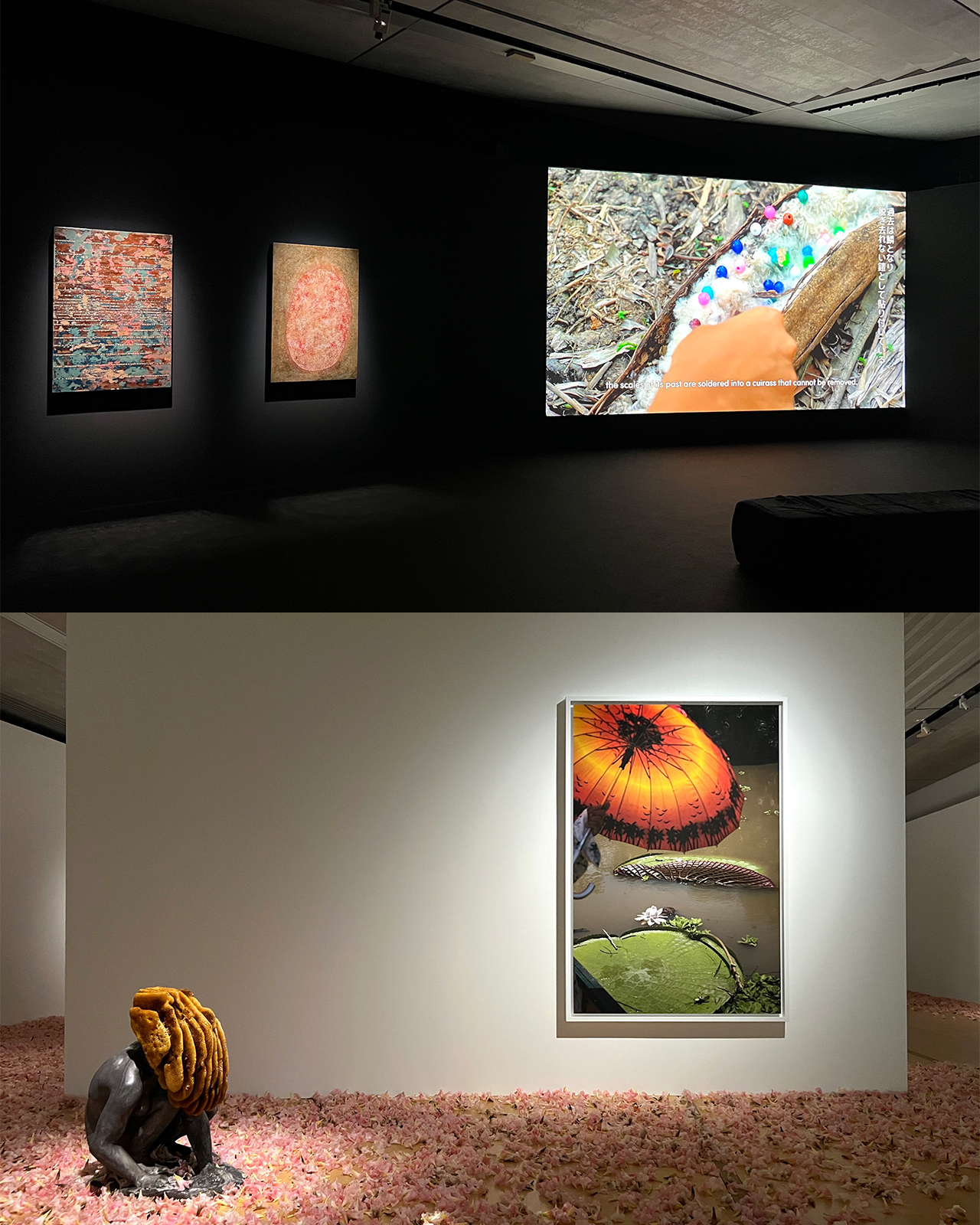 現代アートとの対話が生む、新たなモネの鑑賞体験。ポーラ美術館で『あたらしい目―モネと21世紀のアート』が開催中！