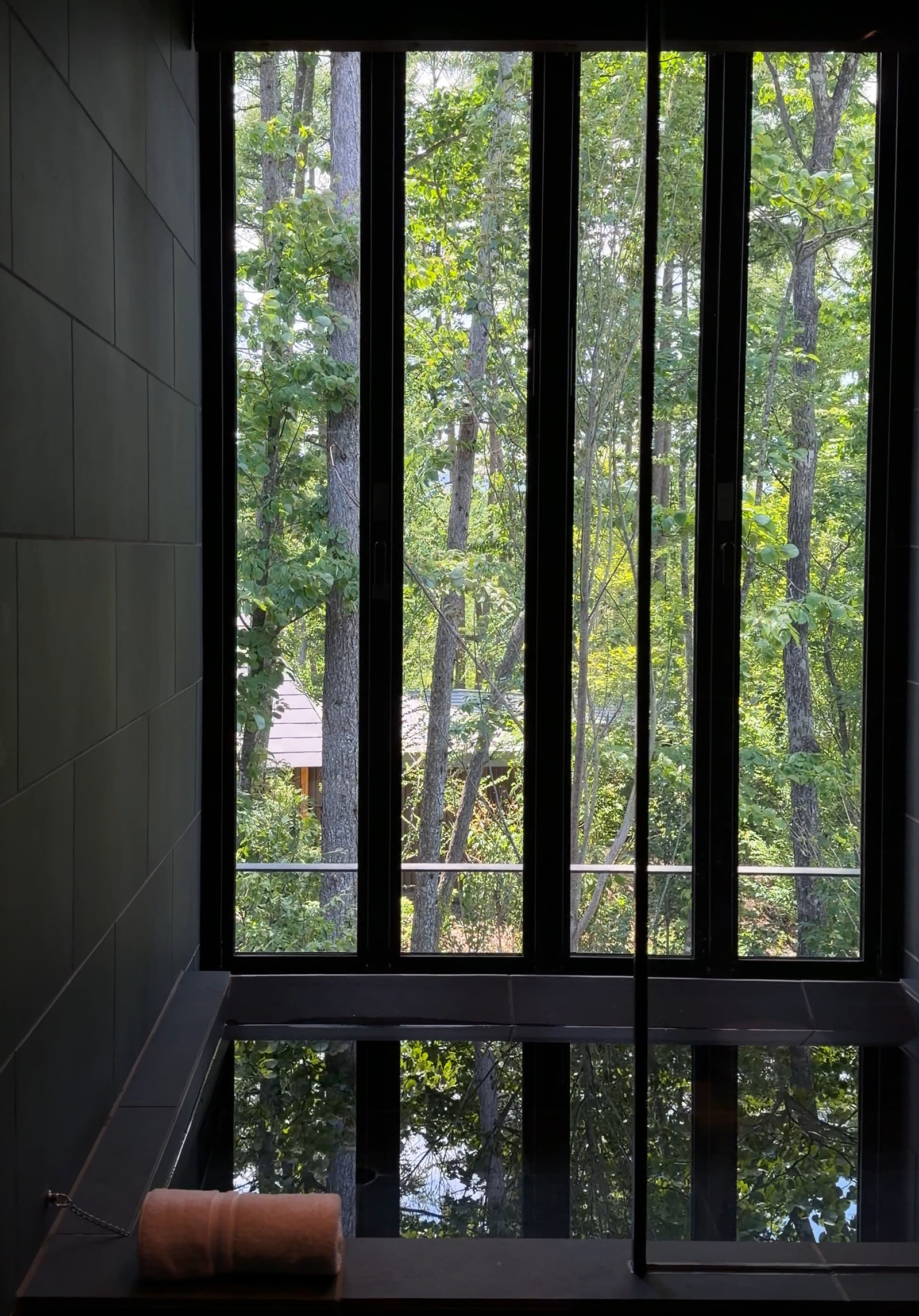 2026-07-21-karuizawa-solo-trip-essence-karuizawa-3 | madameFIGARO.jp(フィガロジャポン) サウナ室の窓から見える、水面に緑が揺れる軽井沢の景色