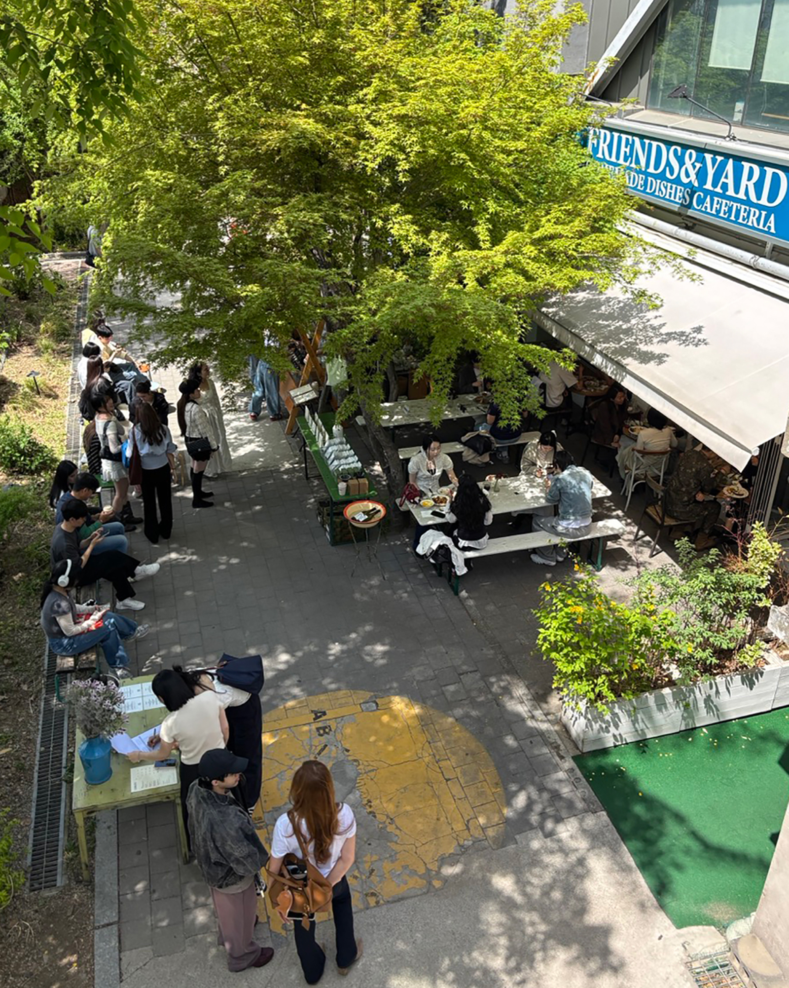 緑豊かなテラスを見下ろした構図。Friends & Yardの看板と、屋外の席でくつろぐ人々