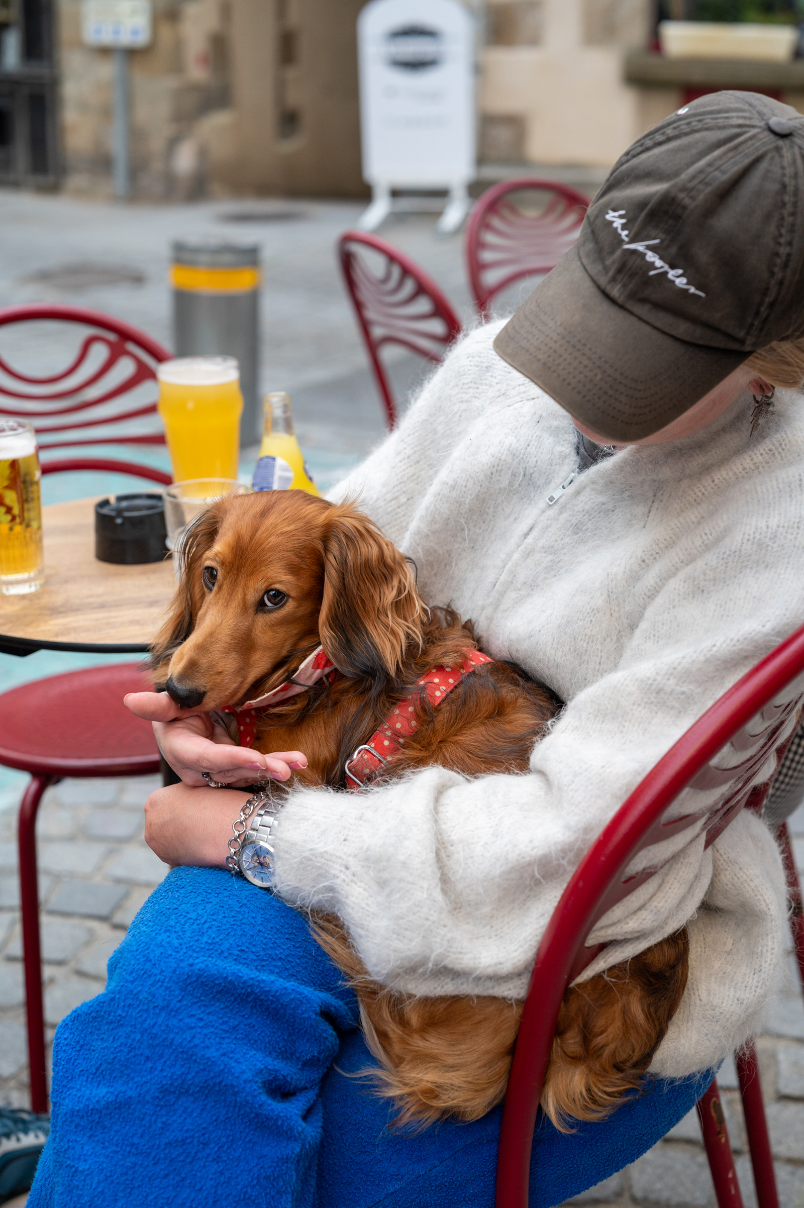 グランヴィルのレストランのテラスで飼い主に抱っこされてくつろぐダックスフンドのユベール