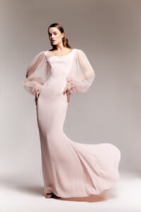 Model in a blush pink, floor-length gown with sheer, dotted puff sleeves, posed in a studio. (Informative)