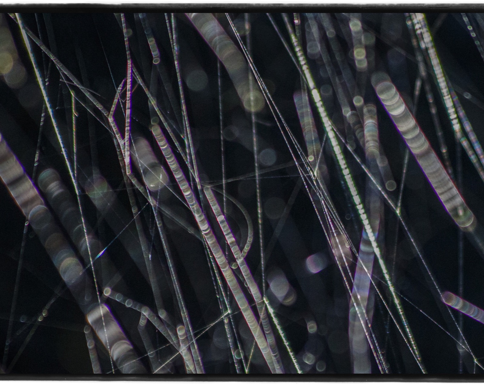 見えないはずの「粘性」を写真にする。高木由利子『chaoscosmos』第3章がGYRE GALLERYで開催。