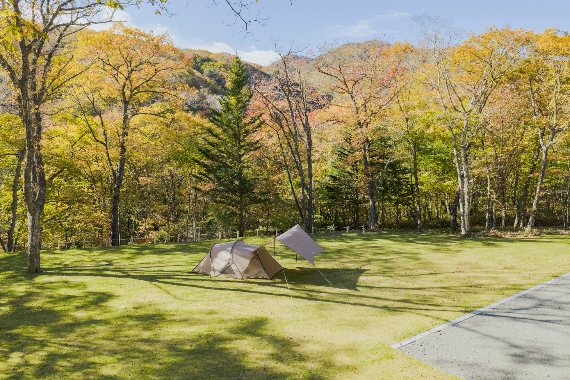 202510_SP-DJI_0012-1960x1307 | madameFIGARO.jp(フィガロジャポン)
