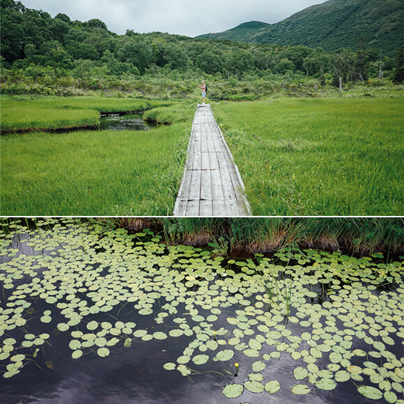 名称未設定 1.jpg