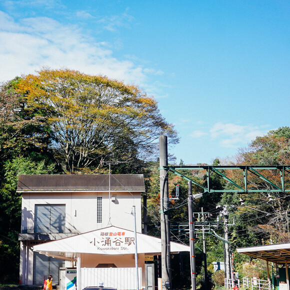 DSC02544.jpg