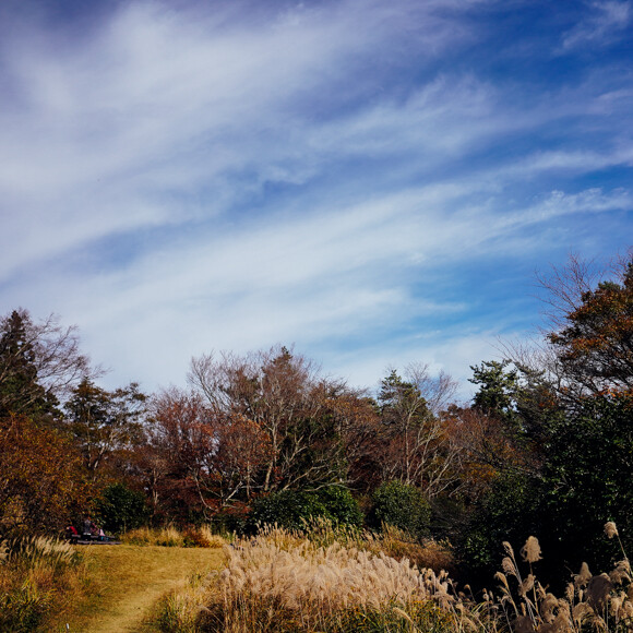 DSC02586.jpg