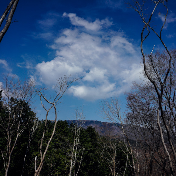 DSC03955.jpg