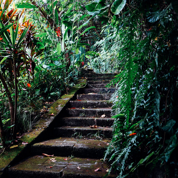 DSC07640.jpg
