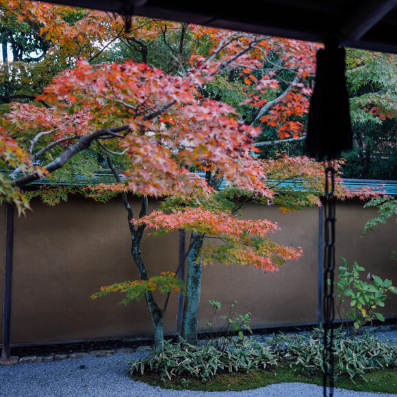 DSC08329.jpg