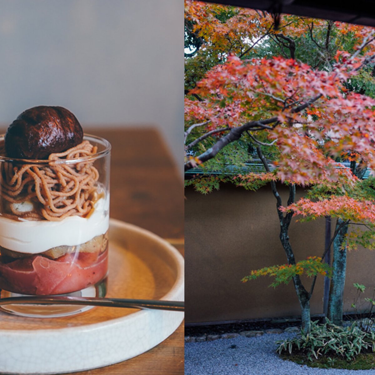 鎌倉さんぽ / 糀の美味しさを堪能できるSawviと紅葉！