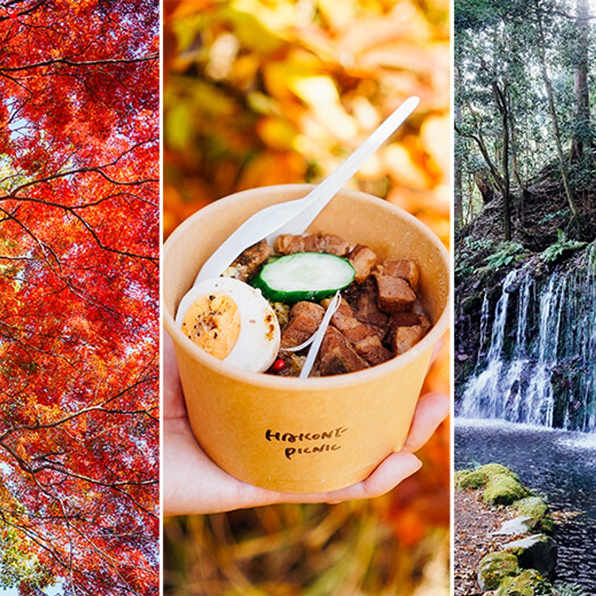 心友と箱根旅! 圧巻の紅葉と自然美ハイクとご褒美と。
