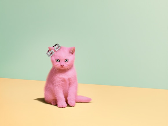 猫がジュエリーに！ ぷっくりパールの肉球をなでなで。 | madameFIGARO