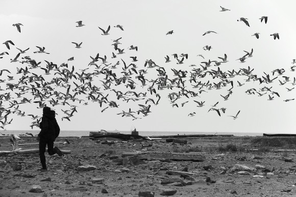 写真家立木義浩フォト海の風景 アート作品 写真家・立木義浩が上野の森美術館にて写真展を開催。 | madameFIGARO