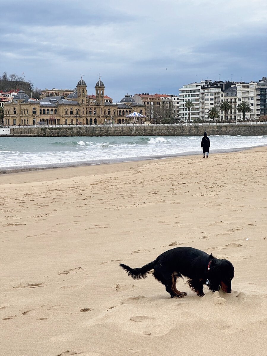 ぼくはなぜ、犬と生きる人生を選んだのか｜作家 辻 仁成