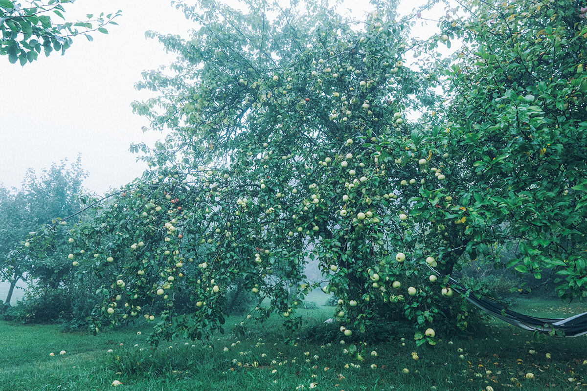 ソ連体制下に生き、自由を求めたラトビアの女性たちに想いを馳せる。