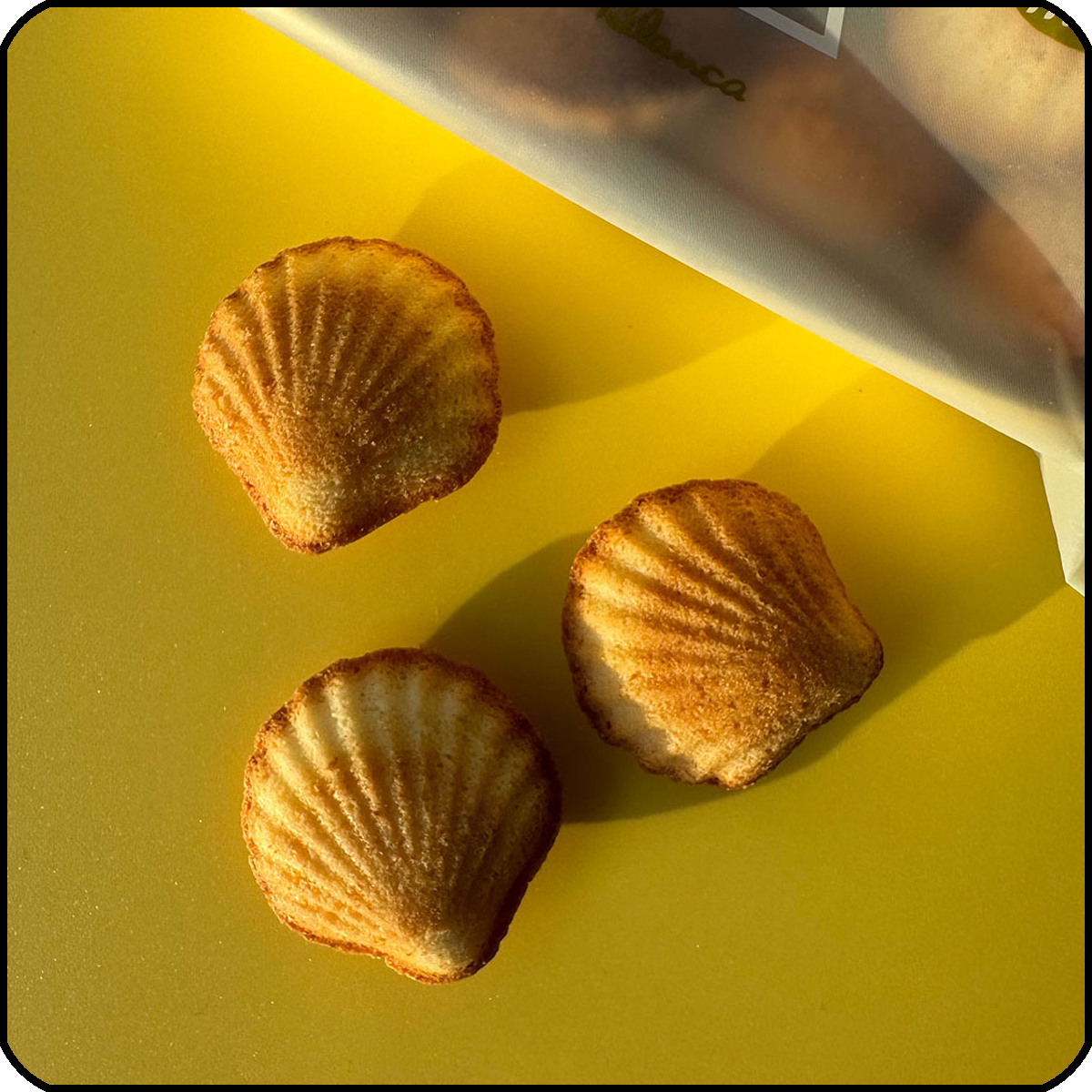 エディターおすすめ！ 日本全国のおいしいお土産。