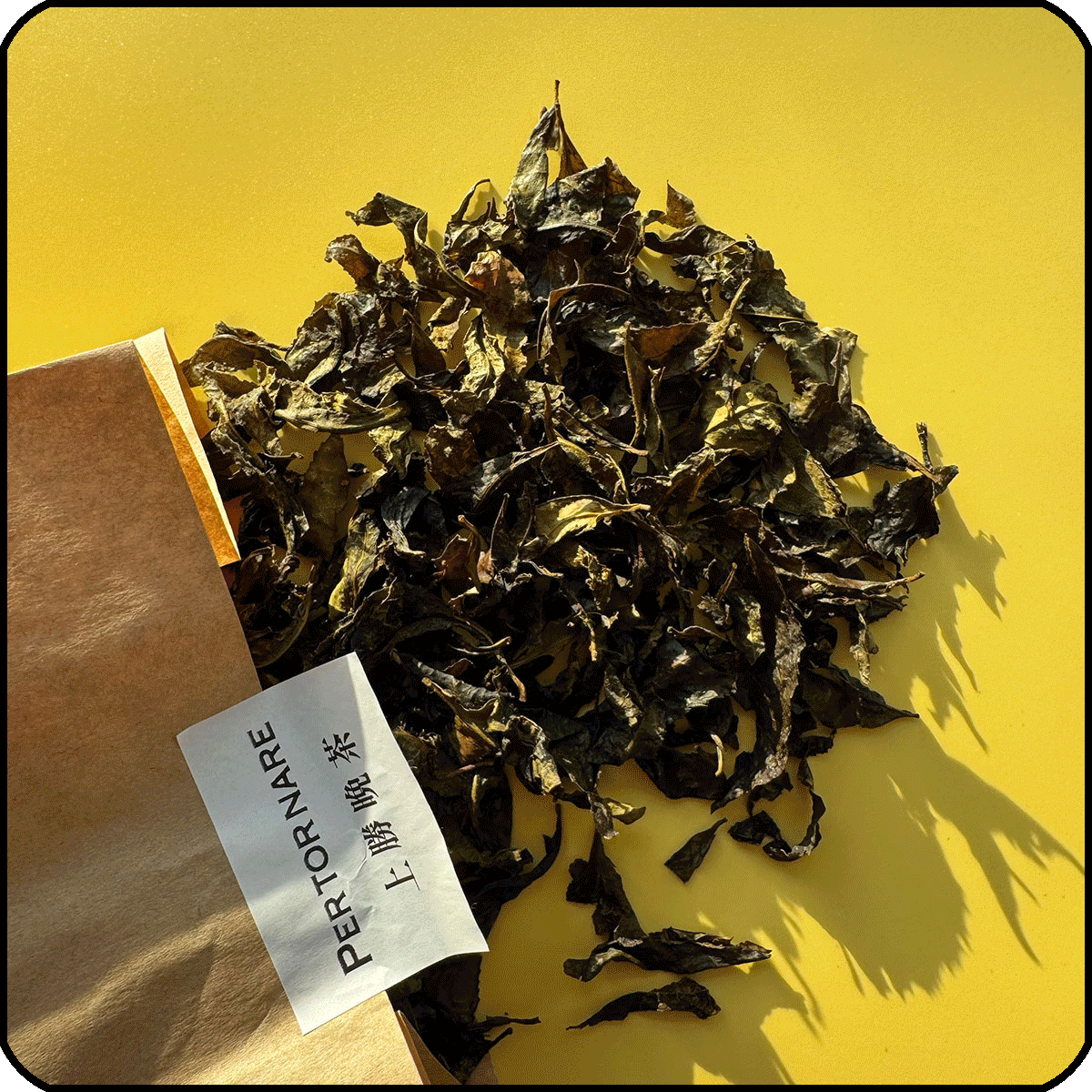 エディターおすすめ！ 日本全国のおいしいお土産。