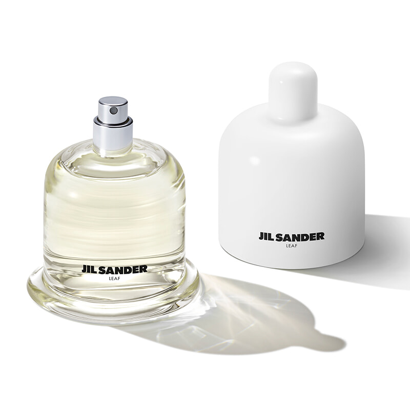 250127JIL-SANDER---LEAF.jpg