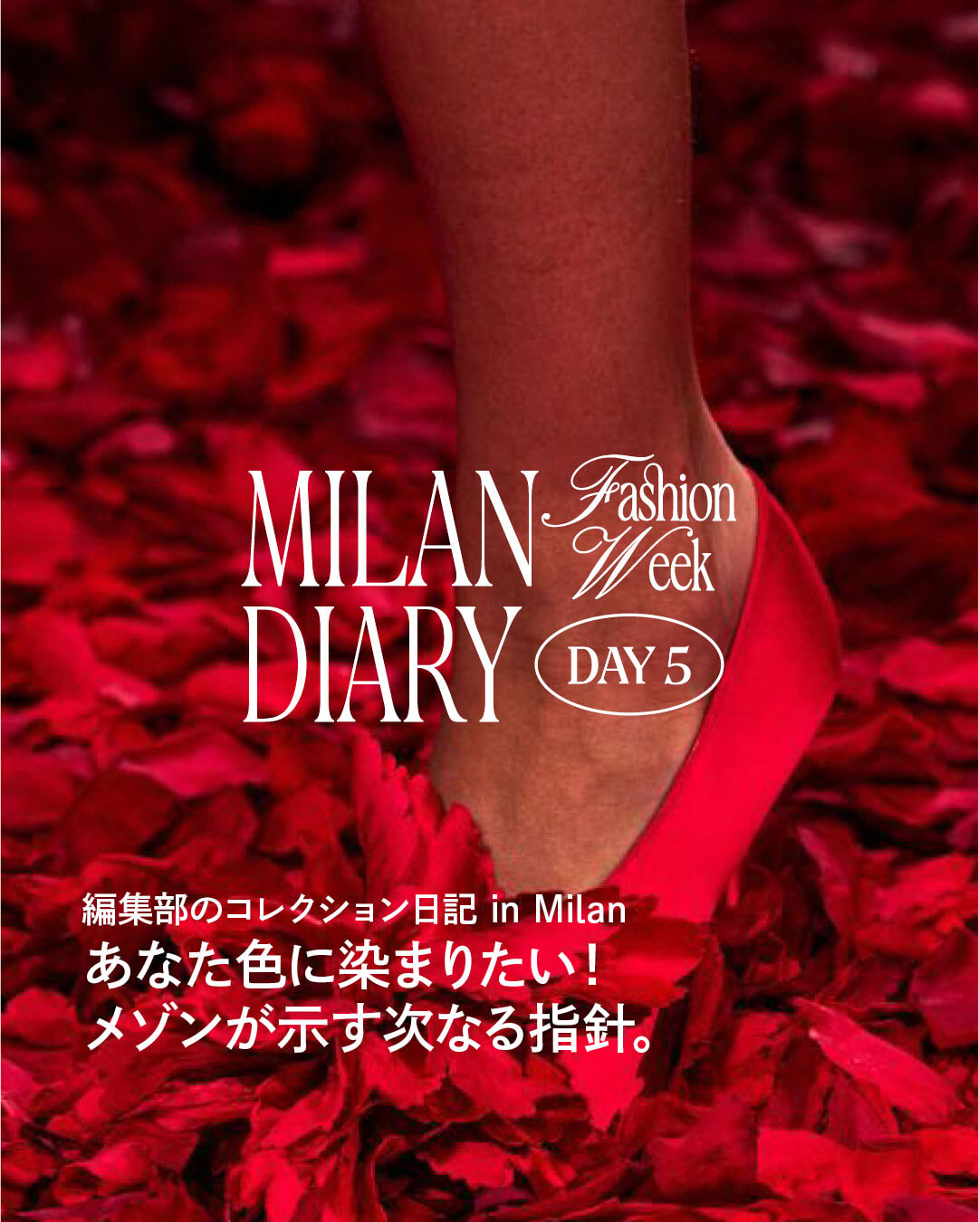 エディターのミラノコレクション体当たり取材。 あなた色に染まりたい！メゾンが示す次なる指針。【編集部の2025年秋冬コレクション日記ミラノ編】