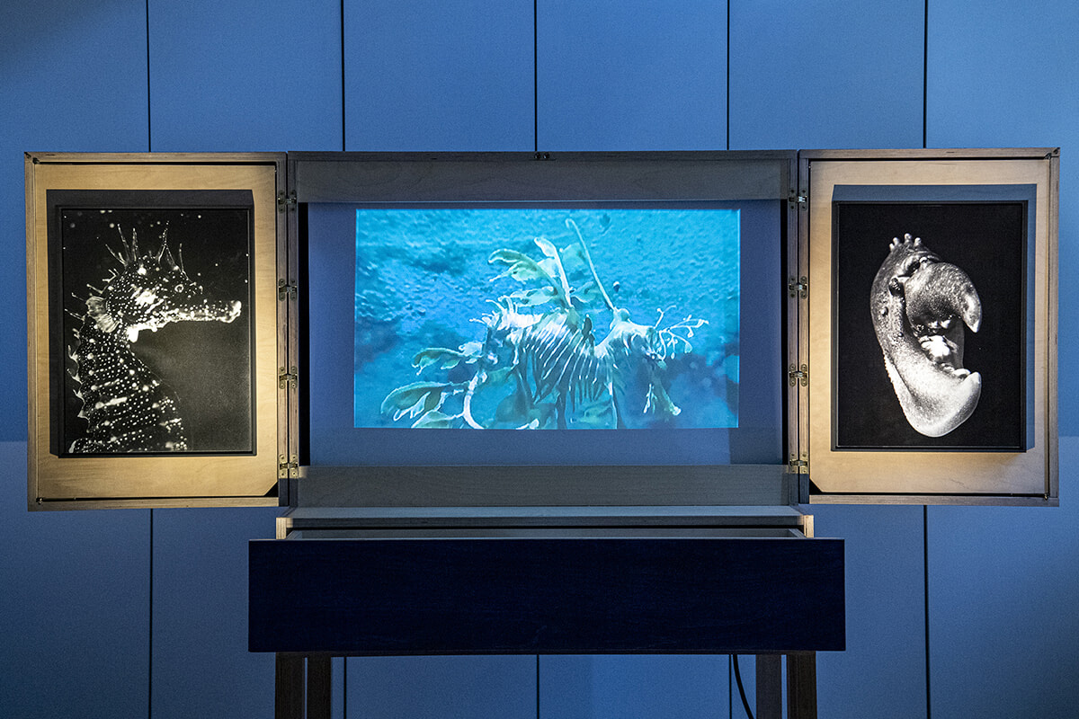 南仏ヴィラ・カルミニャックの展覧会『めまい』と大阪・関西万博のトランク・ミュージアム。