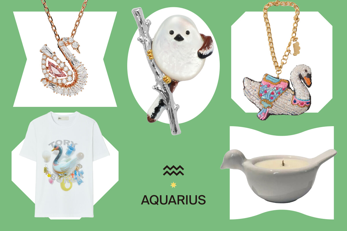 小さな白い鳥を装いにプラスして幸運を迎え入れて。みずがめ座に贈るラッキーアイテム。【星座別ラッキーモチーフ占い】