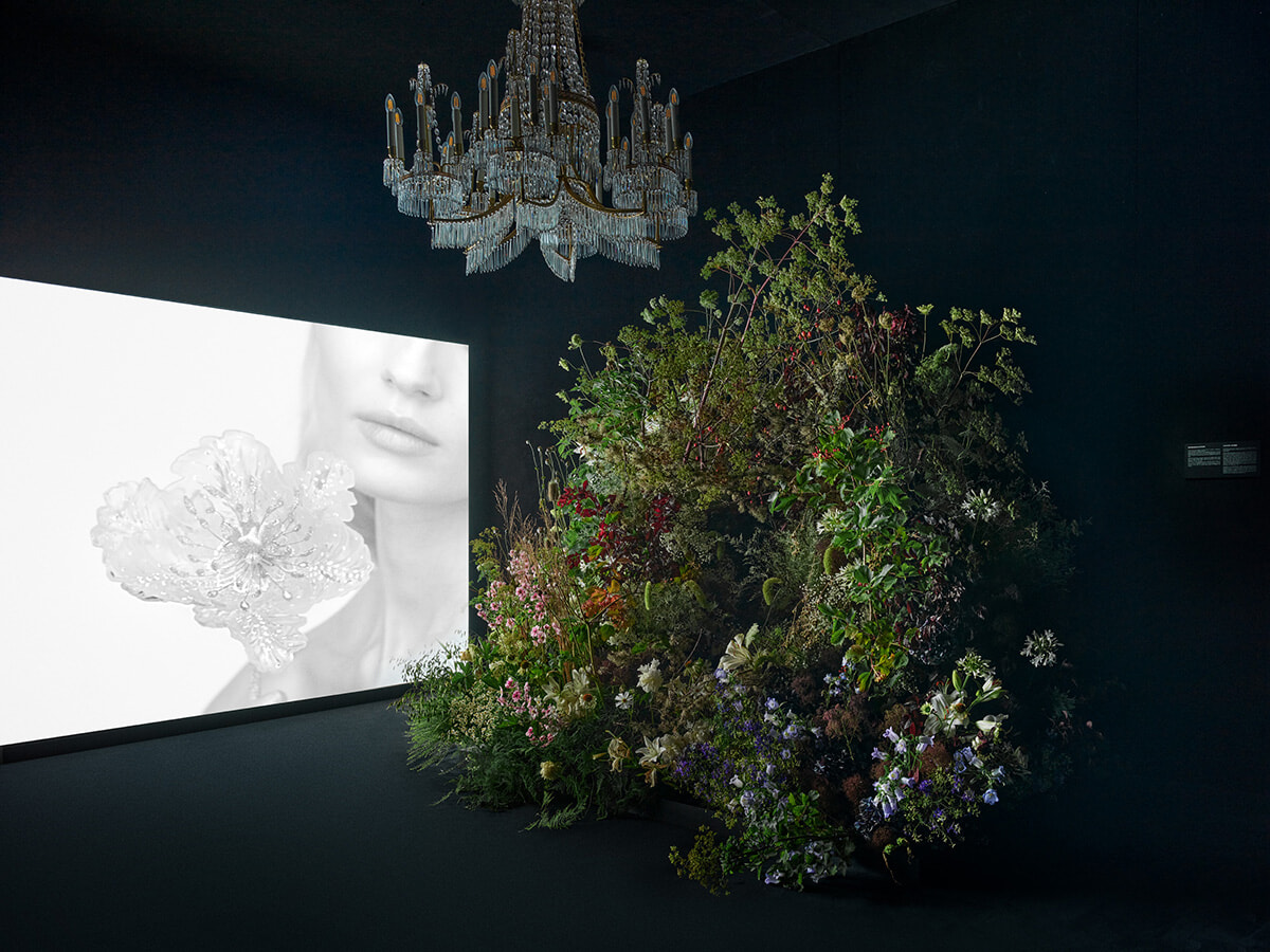 ブシュロンのハイジュエリー、移りゆく自然を6つの生物多様なコンポジションで表現。