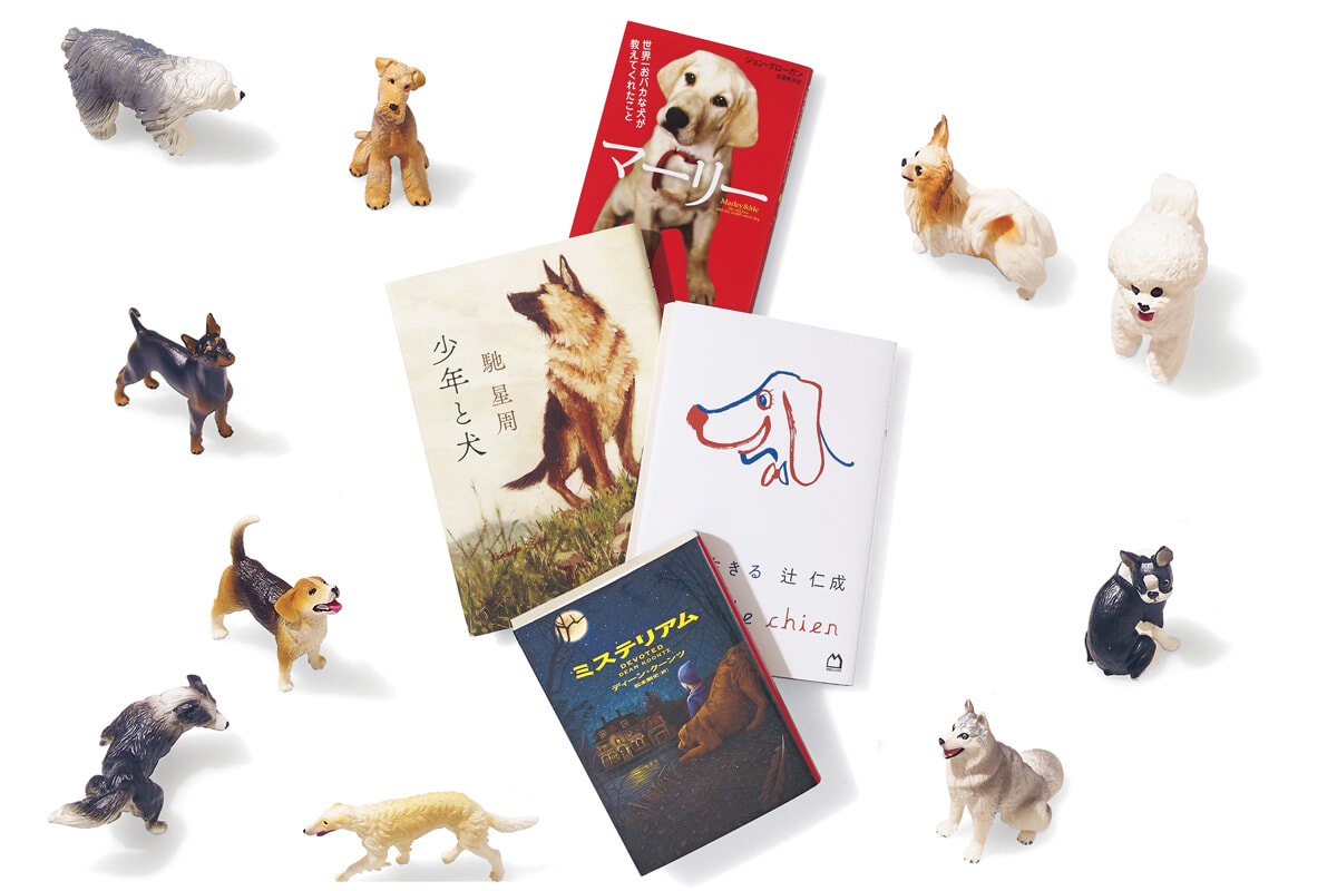 「断然犬派！」になってしまう4冊を竹本祐子がセレクト。【いま知りたいことを、本の中に見つける】