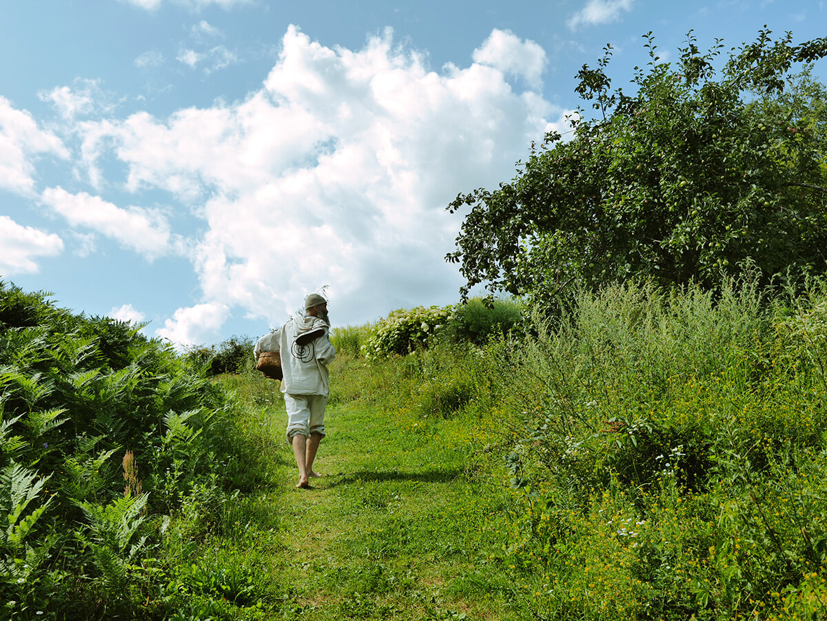 美味なるドライハーブティーの故郷を訪ね、リトアニアのアニクシャイへ。