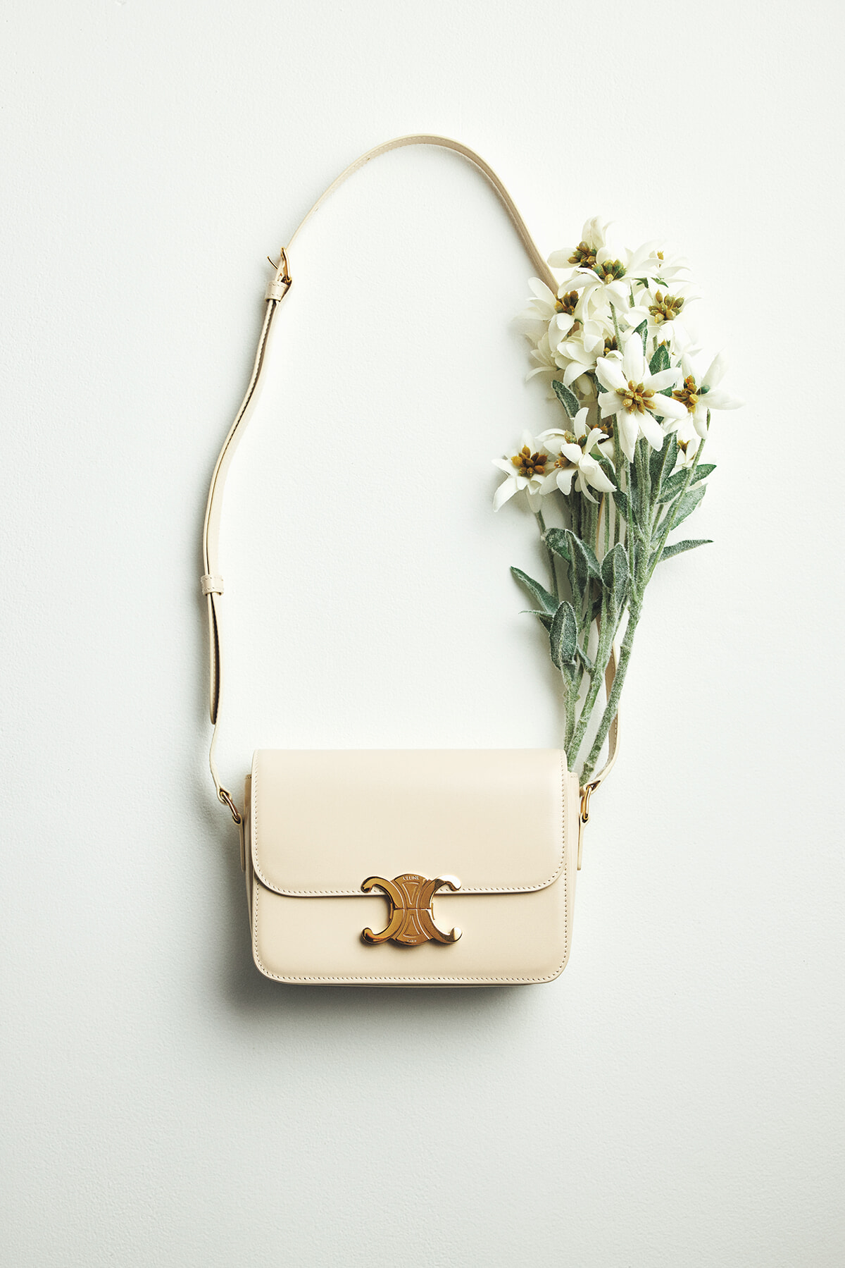 日常に華を添える、セリーヌの「ティーン トリオンフ」