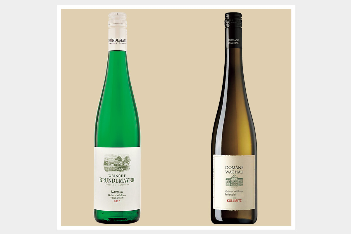 白胡椒とハーブが香る、通好みの白ワイン品種！「グリューナー・ヴェルトリーナー」の魅力。