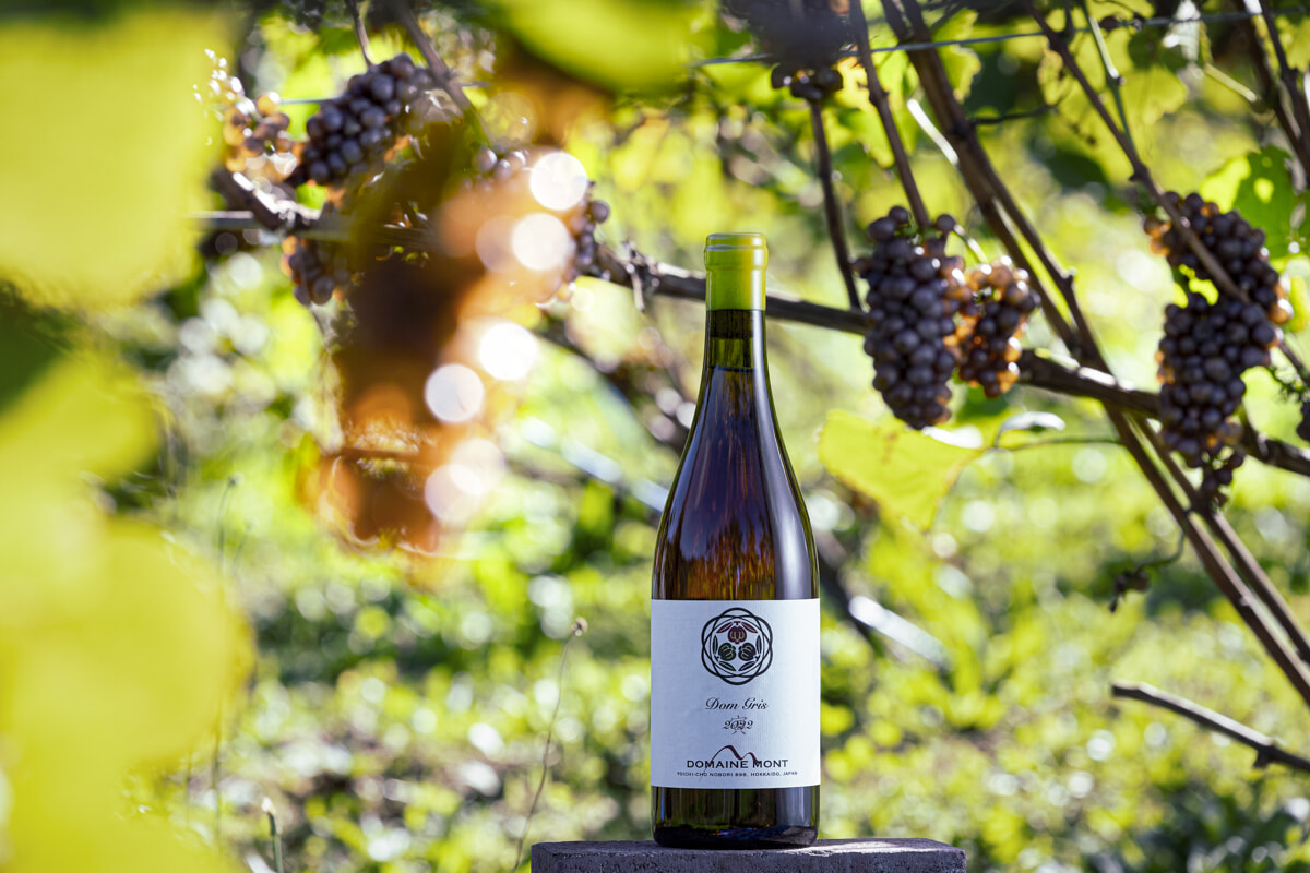 余市の自然派ワインはなぜおいしく「希少」なのか？ 編集者が収穫の現場に潜入！