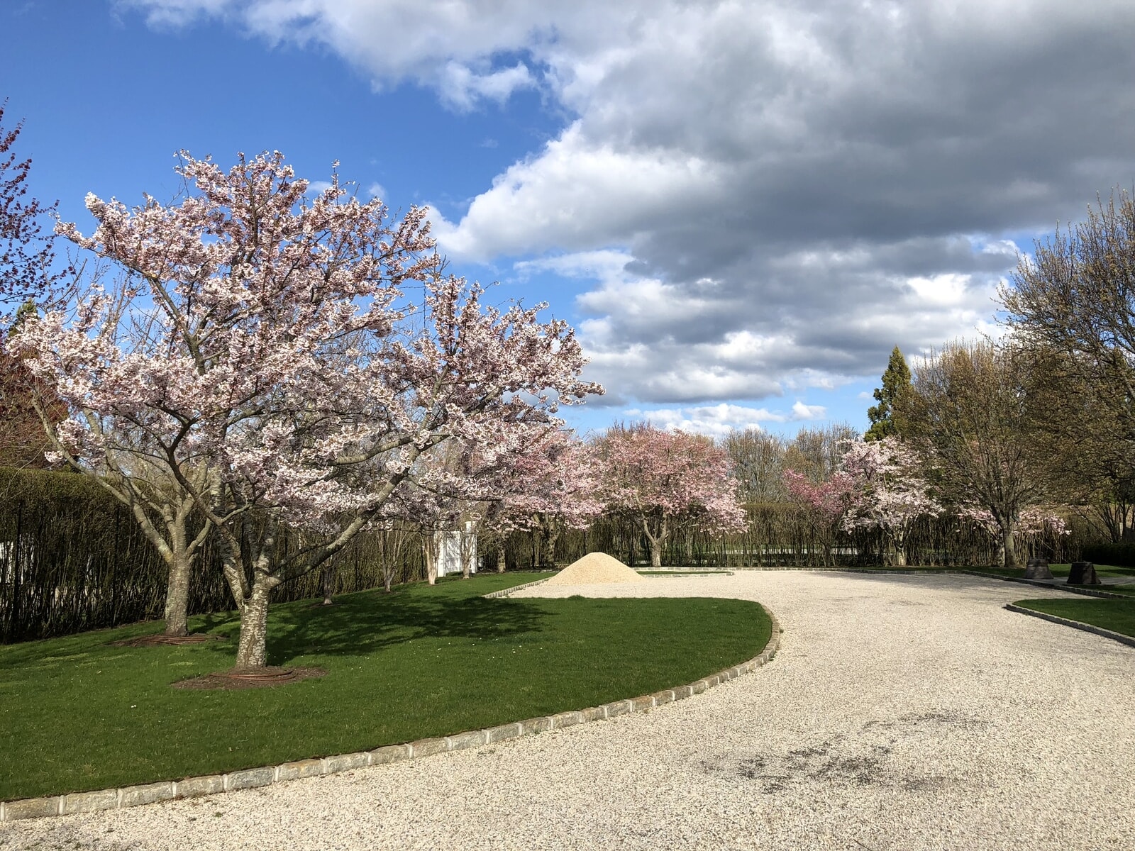 ニューヨークで花見を楽しむ、春の新しい習慣。ブルックリン植物園で「Weekends in Bloom」を開催！