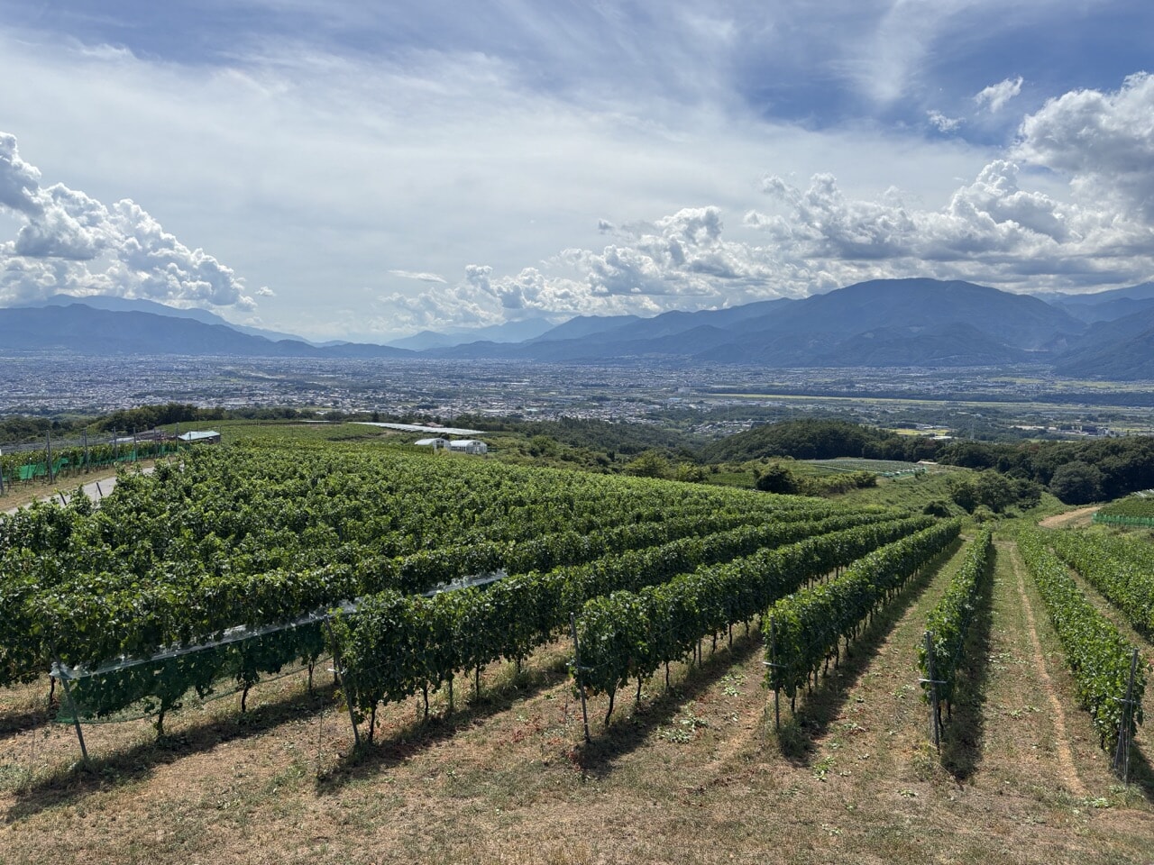 【サントリー登美の丘ワイナリー】日本ワインの生まれる場所を訪ねて！ 特急あずさとシャトルバスで「オトナの社会科見学」に