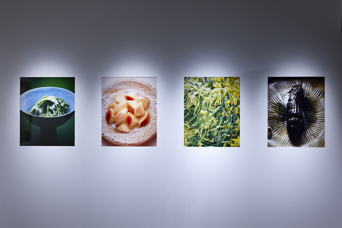 銀座と京都、2都市のイッセイ ミヤケのギャラリーで特別展示を開催。
