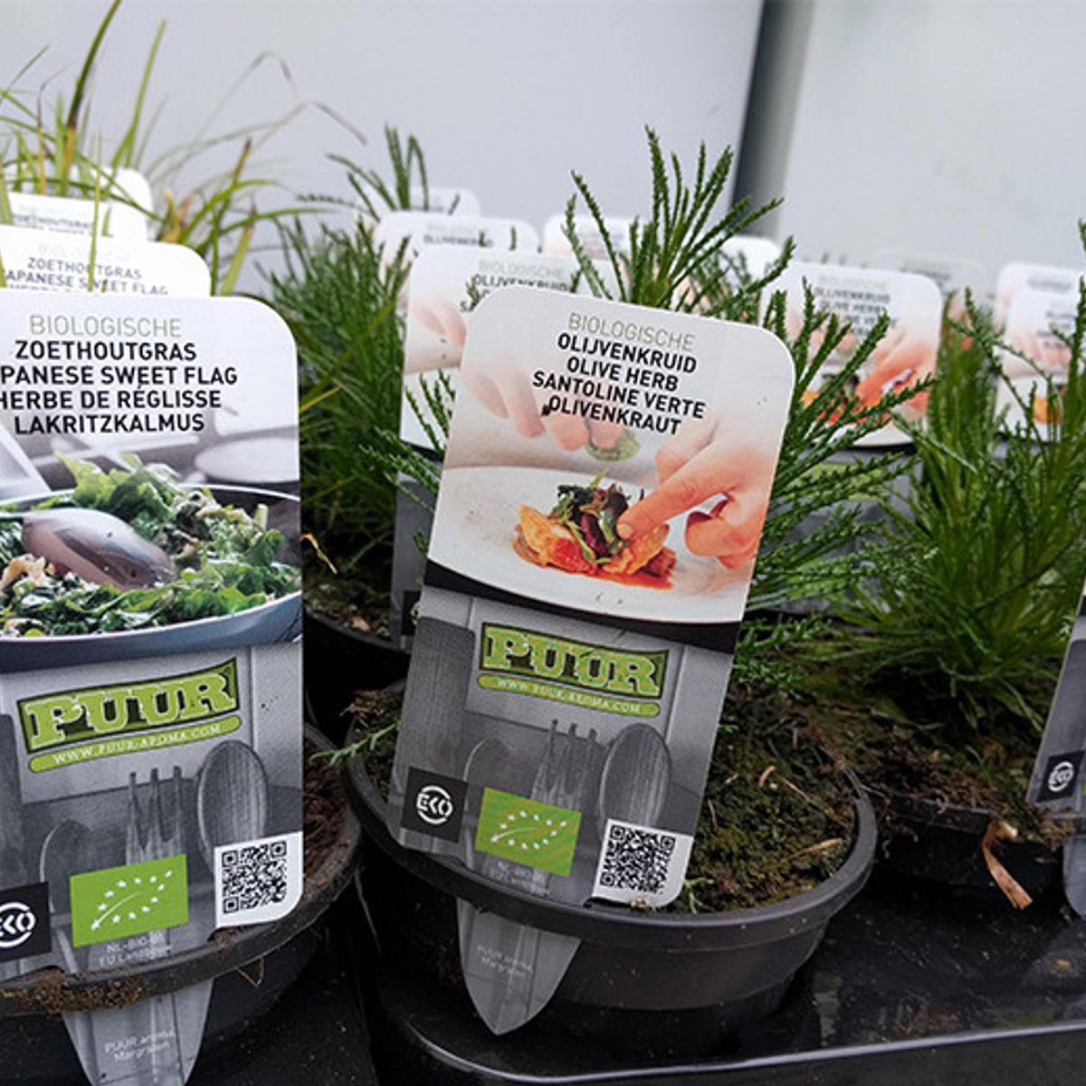 EUオーガニックの上をいく、オランダのEKO認定とは？