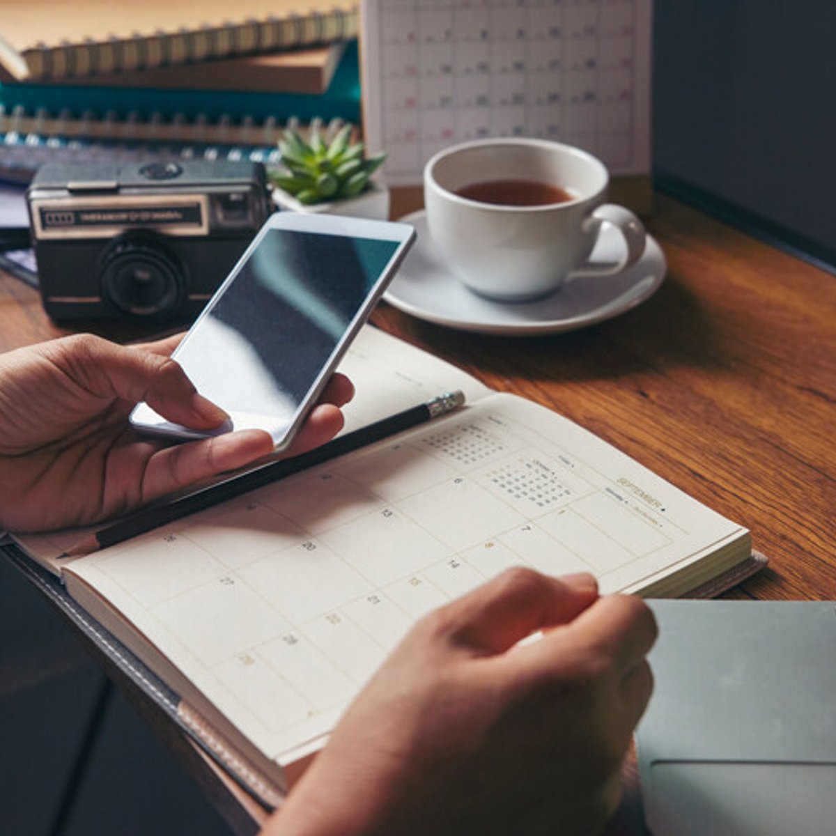 【35歳の卵子凍結】凍結卵子の生存率と妊娠率は？