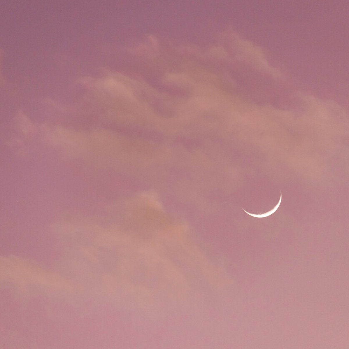 卵子凍結を経験した35歳、独身女性のリアルレポート。