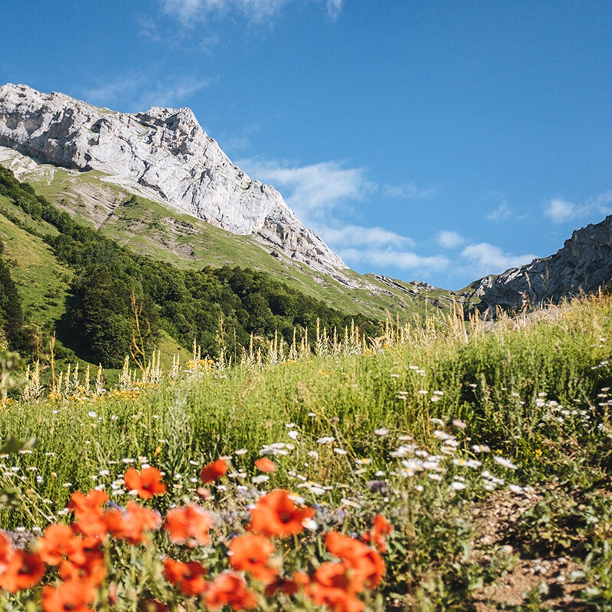 美しい世界の舵を取る女性たち。【クラランス 小山順子】